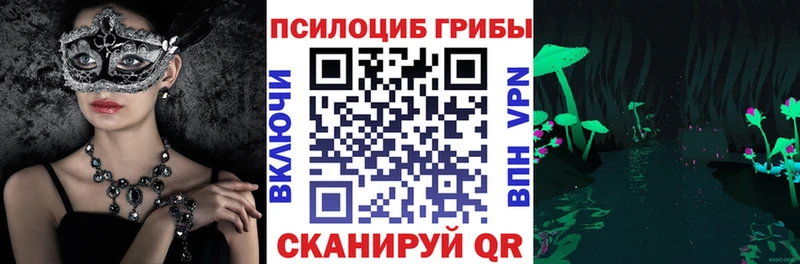 наркошоп  Талдом  Галлюциногенные грибы GOLDEN TEACHER 